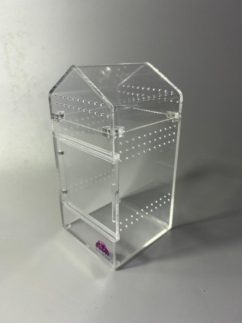Tall Jumping Spider Enclosure - Image 2