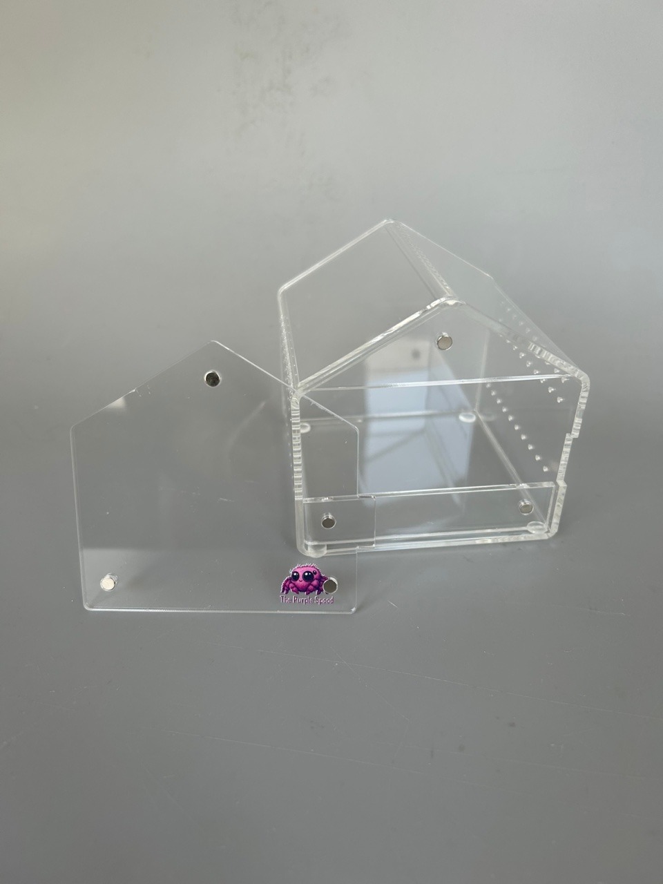 Small Jumping Spider Enclosure - Image 2