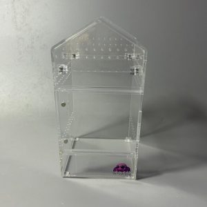 Tall Jumping Spider Enclosure
