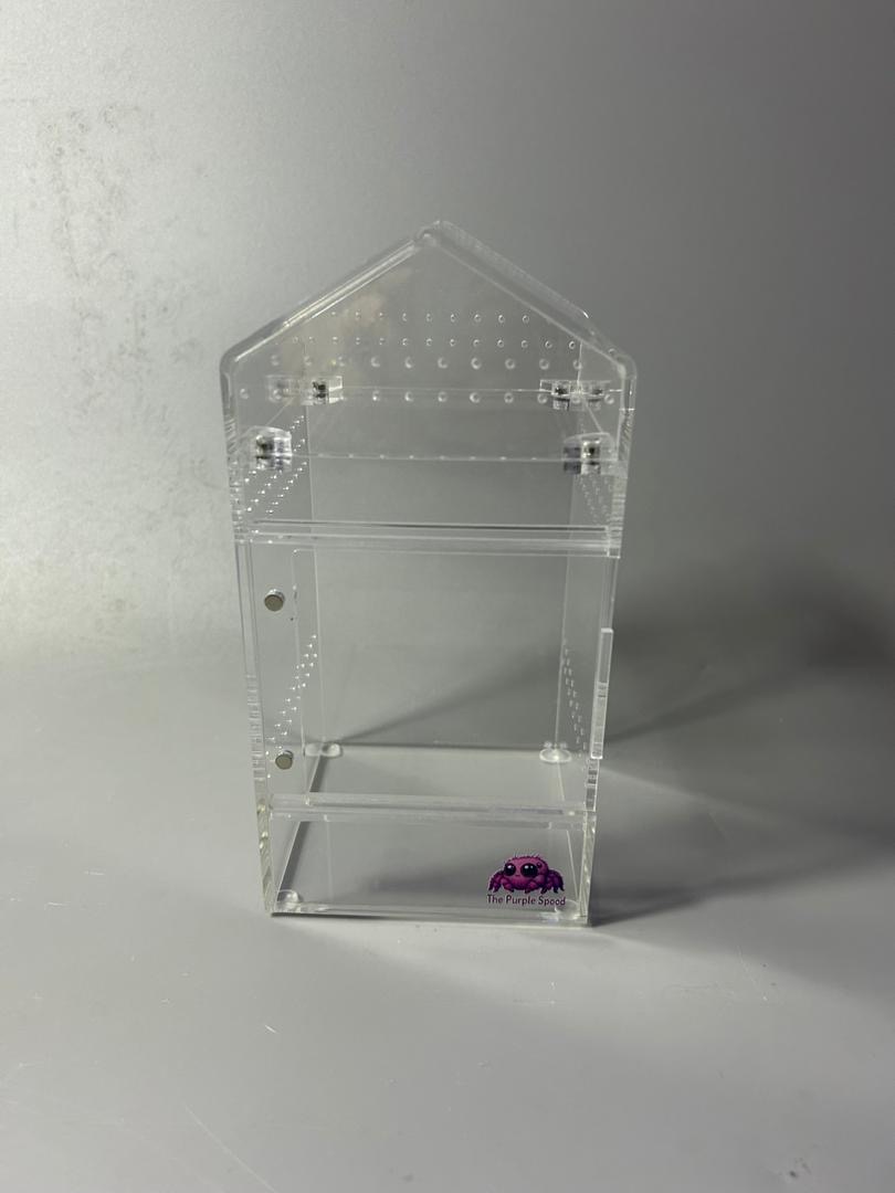 Tall Jumping Spider Enclosure