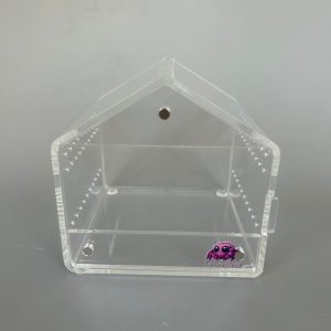 Small Jumping Spider Enclosure