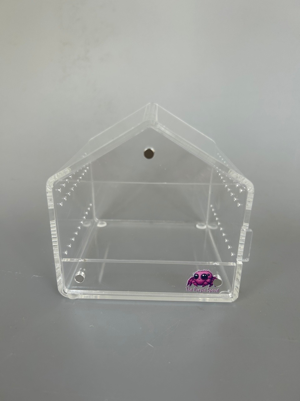 Small Jumping Spider Enclosure